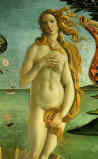 [BOTTICELLI]